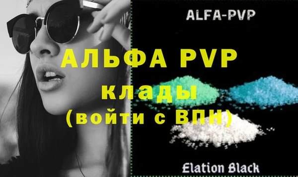 дживик Осинники