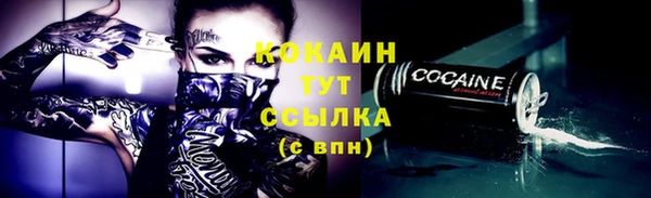 дживик Осинники