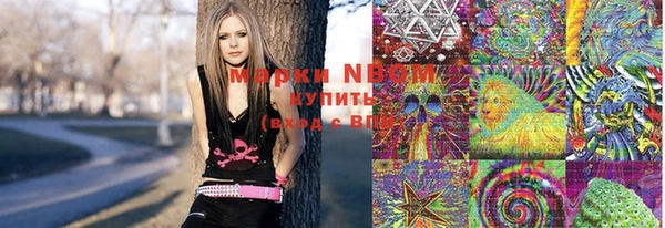 дживик Осинники